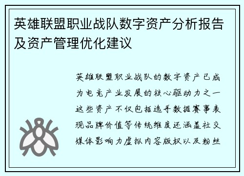 英雄联盟职业战队数字资产分析报告及资产管理优化建议
